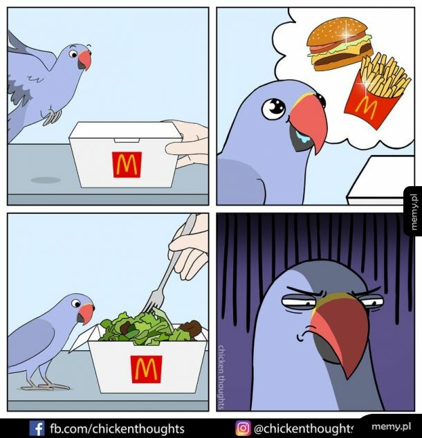 Nadzieje ptaszka