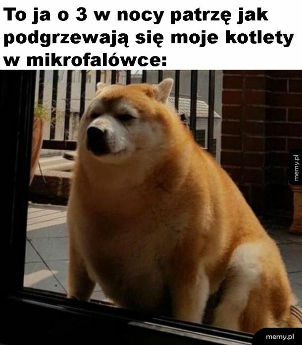 Podjadanie w nocy