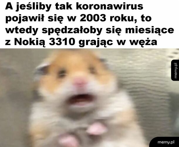 Granie w węża