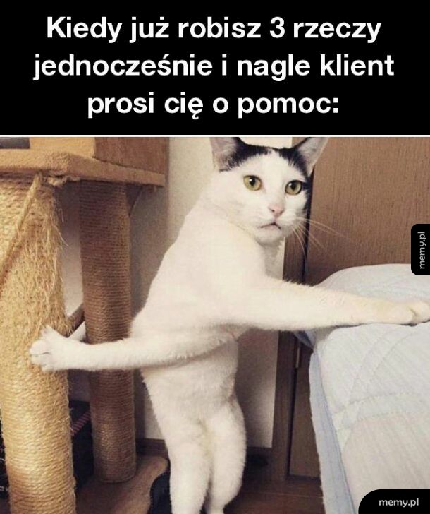 Czego?
