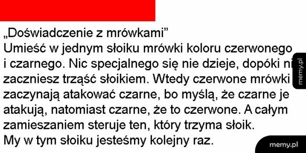 Mrówki w słoiku