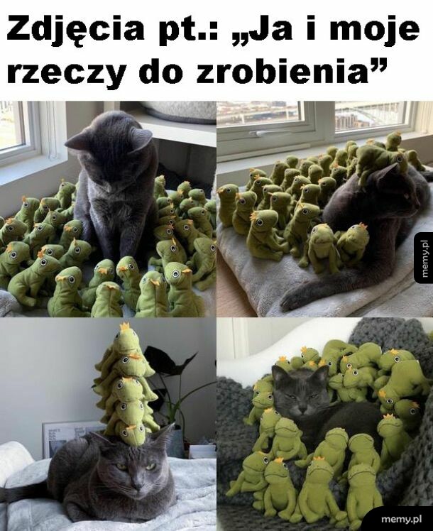 Rzeczy do zrobienia