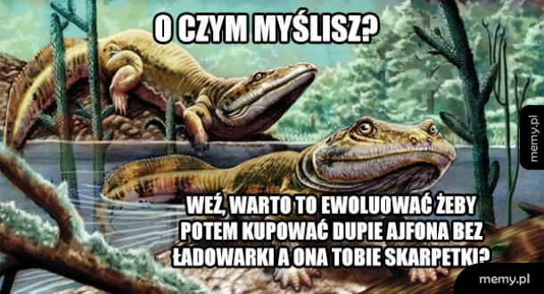 Nie warto było