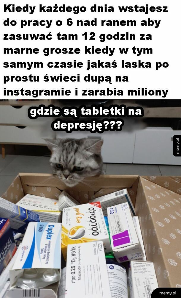 Niesprawiedliwość