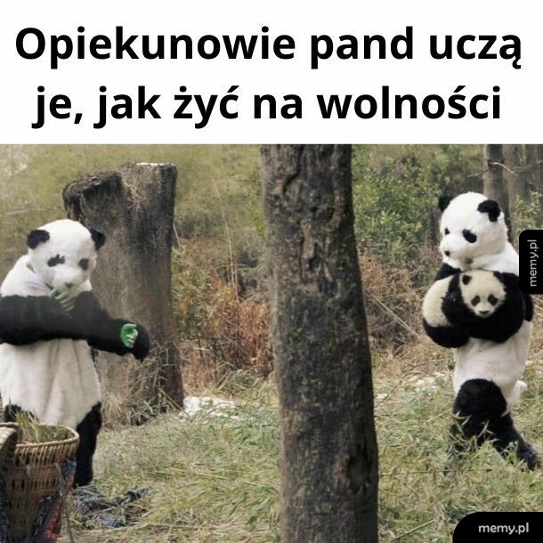 Wykorzystałem mój poziom na słodkości na dzisiaj