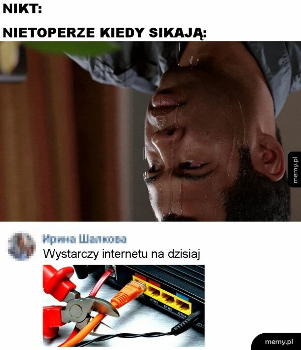 Nietoperze