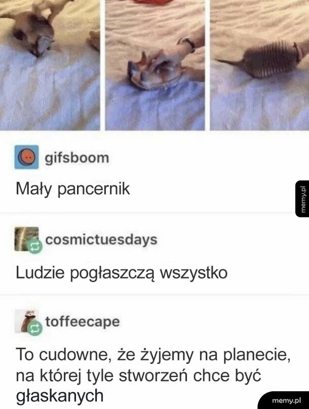 Głaskanie