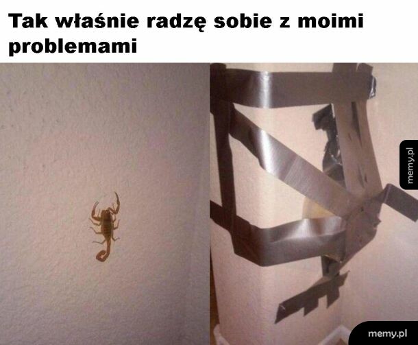 Radzenie sobie z problemami