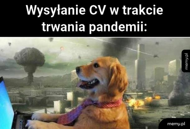 Przede mną kariera