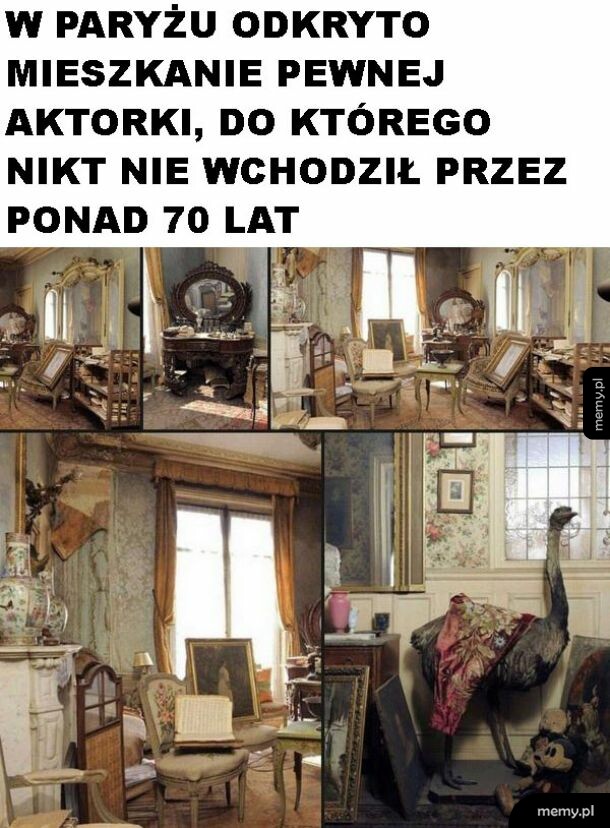 Ale perełka