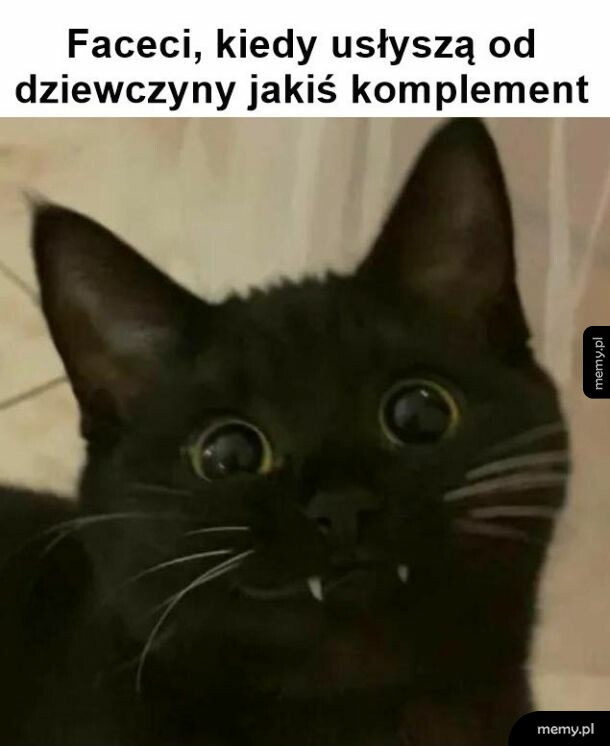 Komplement od laski