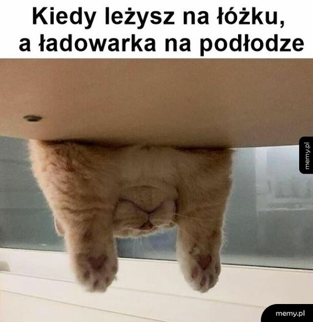Nie chce się wstać