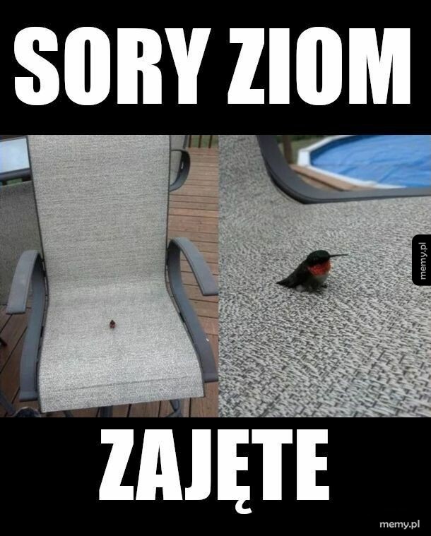 Zajęte miejsce