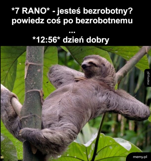 Język bezrobocia
