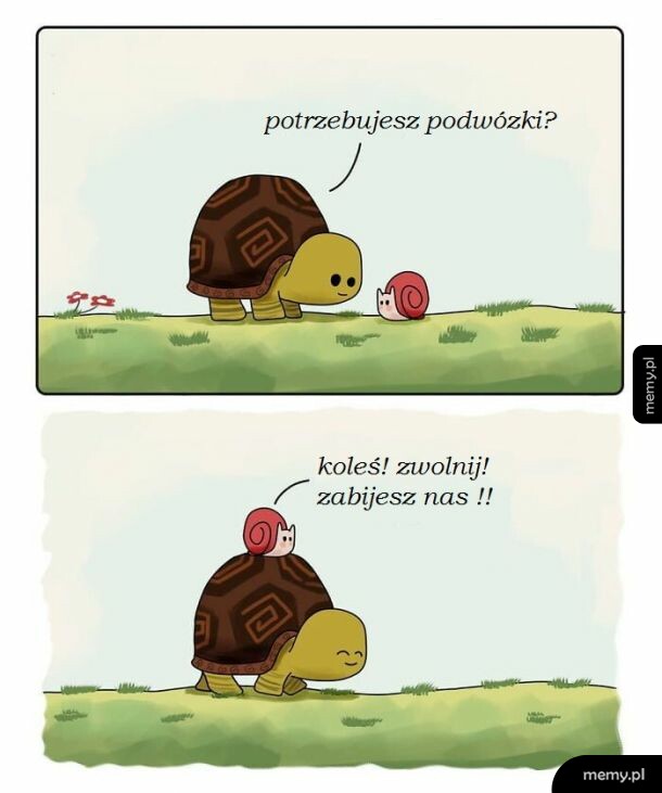 Zabójcze prędkości
