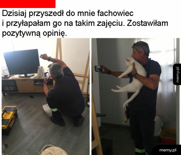 Spoko fachowiec