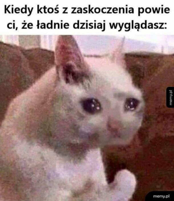 Eee.. dzięki?