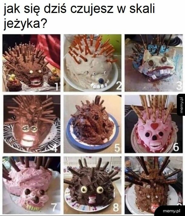 Ja w sumie nieźle, 4 lub 6