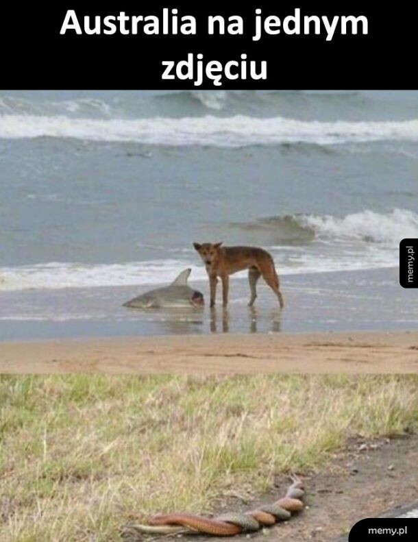 Cudowne miejsce, nie do życia