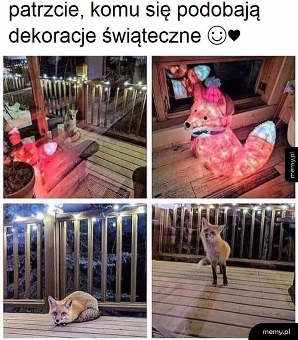 No przecież, że piękne są