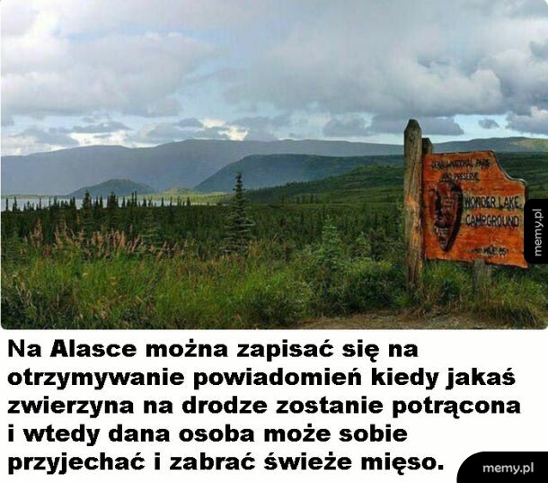 Surowa Alaska
