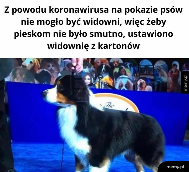 Najbardziej urocza informacja dnia