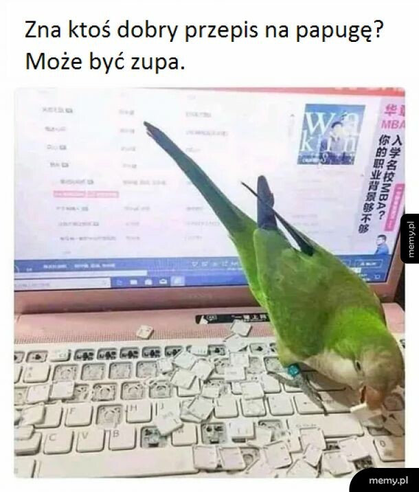 Papug, nie żyjesz.