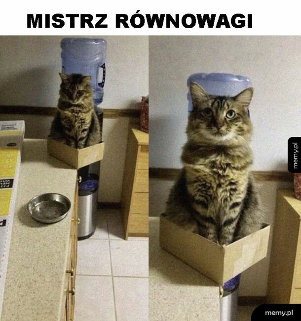 Równowaga