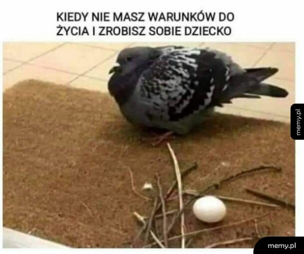 Polskie madki