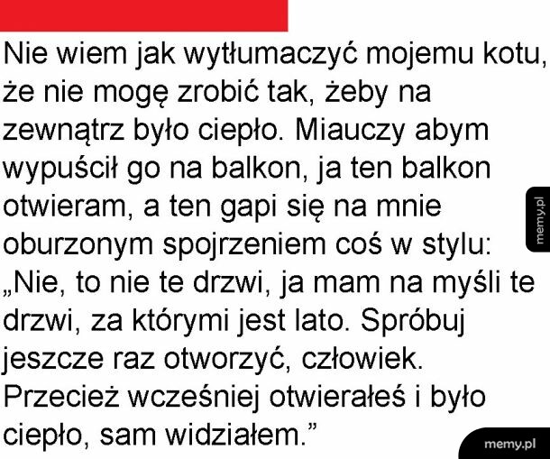Brak porozumienia z kitku