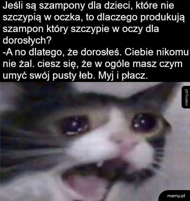 Szampon to jak metafora życia