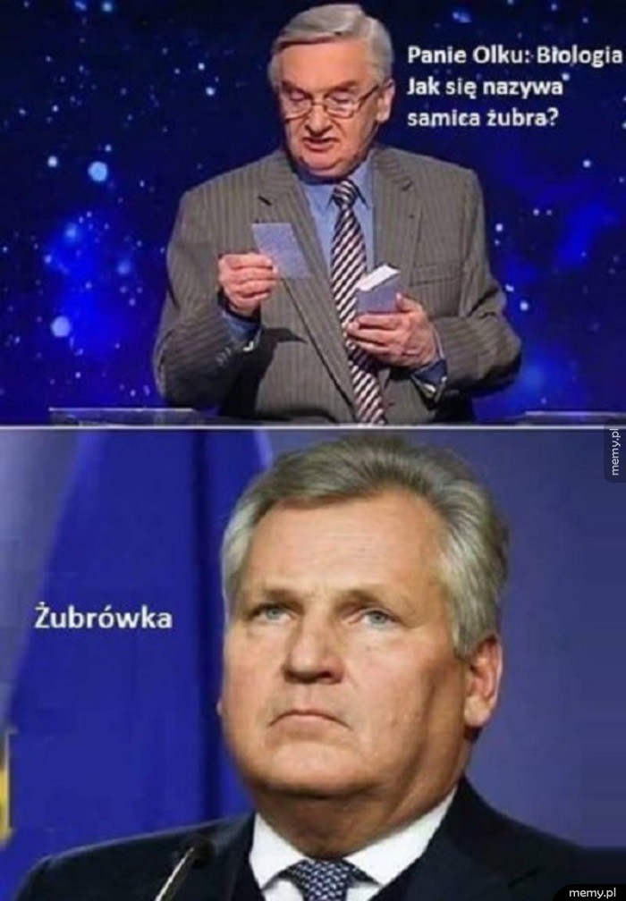 Trafna odpowiedz