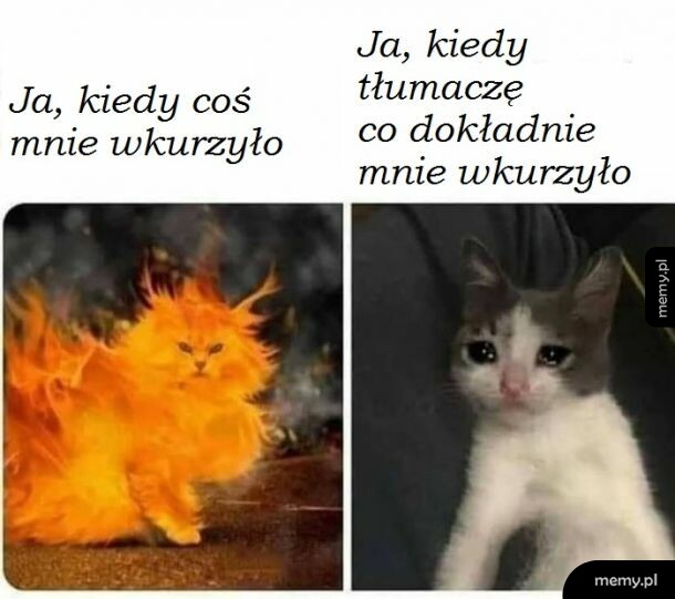 Złość