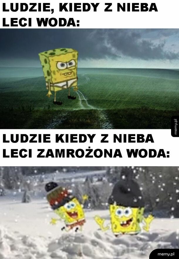 Śnieg