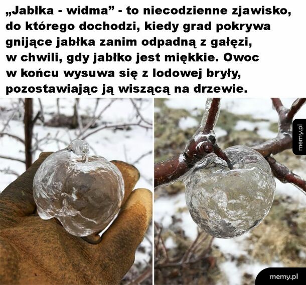 Super to wygląda