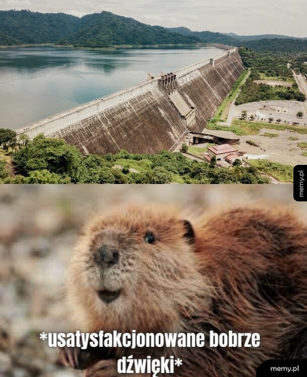 Ale pięknie ta woda nie płynie!