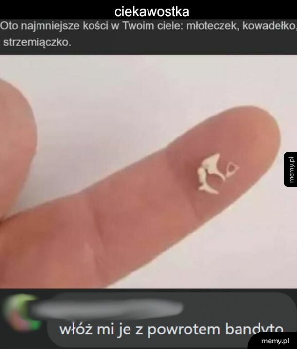 Kości mniejsze nawet od zębów