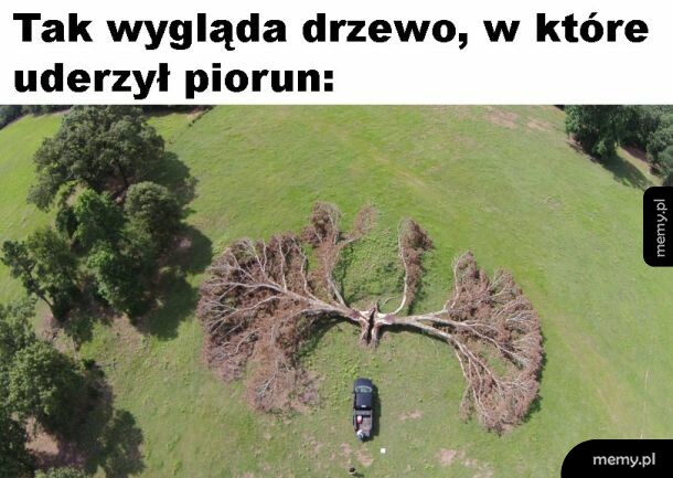 Idealnie na pół