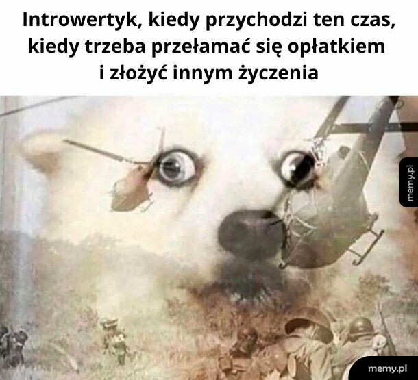 Podpowiadam: "Przede wszystkim zdrowia, bo to teraz najważniejsze"