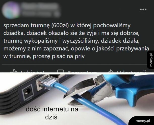 Grunt to wygodne miejsce wiecznego spoczynku