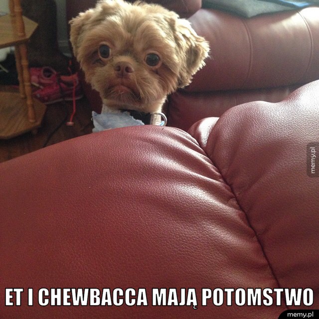  Et i Chewbacca mają potomstwo.