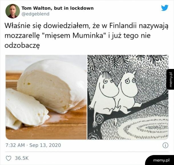 Mozarella