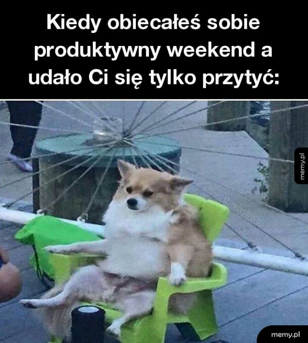 Zawsze coś
