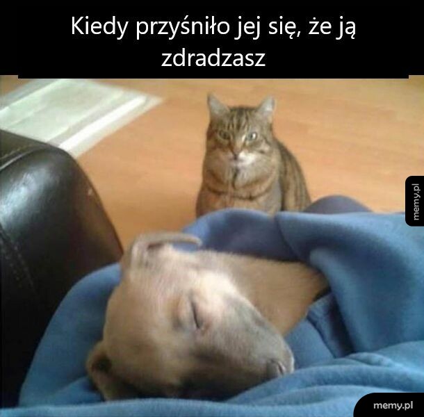 Atak za 3... 2... 1...