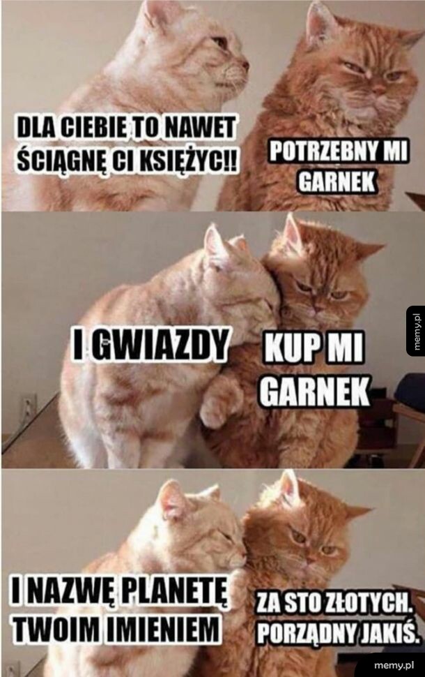 Święta u Elona Muska