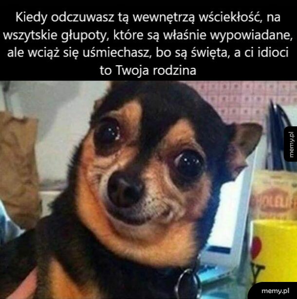 Tymczasem na Wigiliii