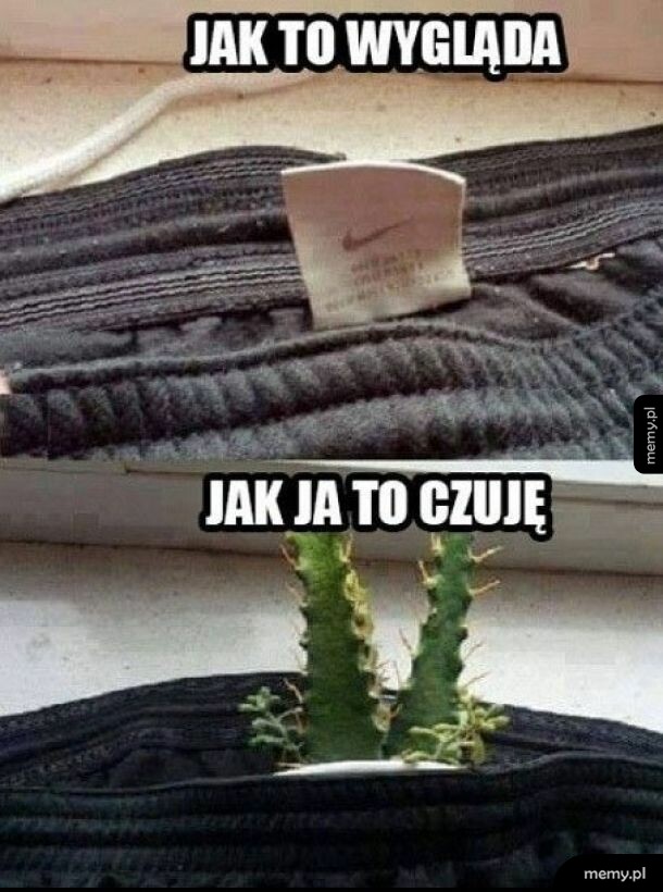 Zawsze obcinam