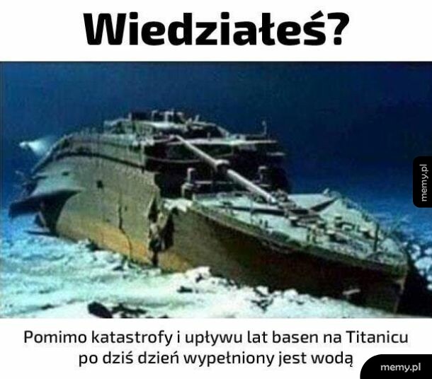 Niesamowite