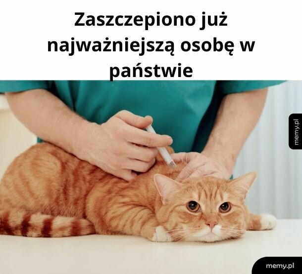 Najważniejsza osoba