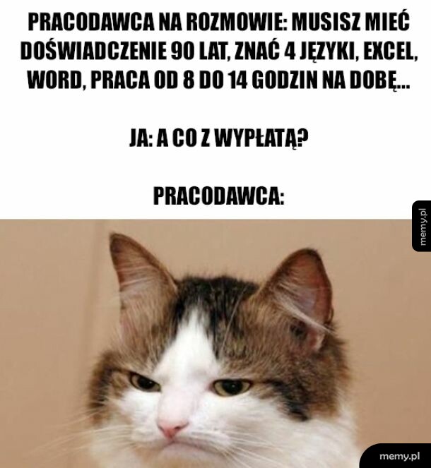Jestem zdegustowany twoim pytaniem